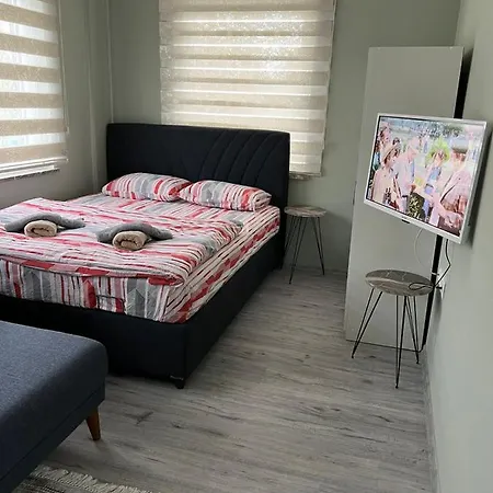 Sea And Natural Adalet Suits *