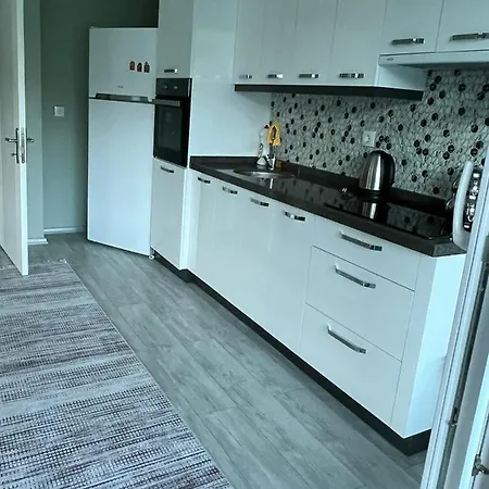 Sea And Natural Adalet Suits