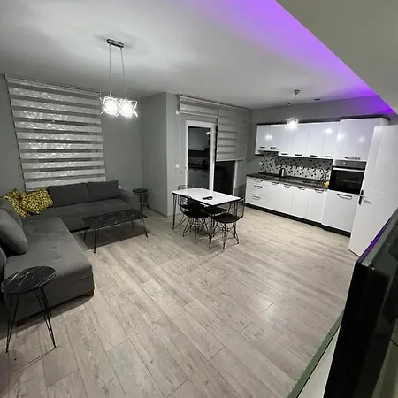 Sea And Natural Adalet Suits *