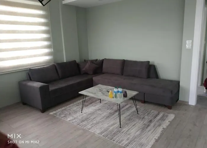 Daire Sea And Natural Adalet Suits *