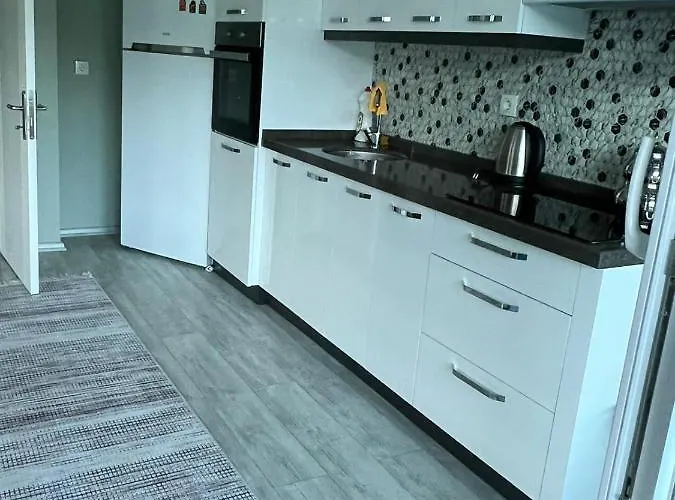 Sea And Natural Adalet Suits