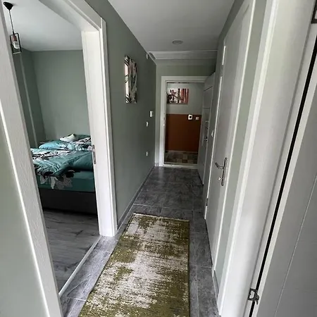 Sea And Natural Adalet Suits