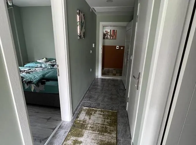 Sea And Natural Adalet Suits