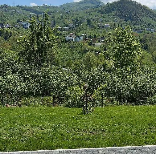 Sea And Natural Adalet Suits Appartamento